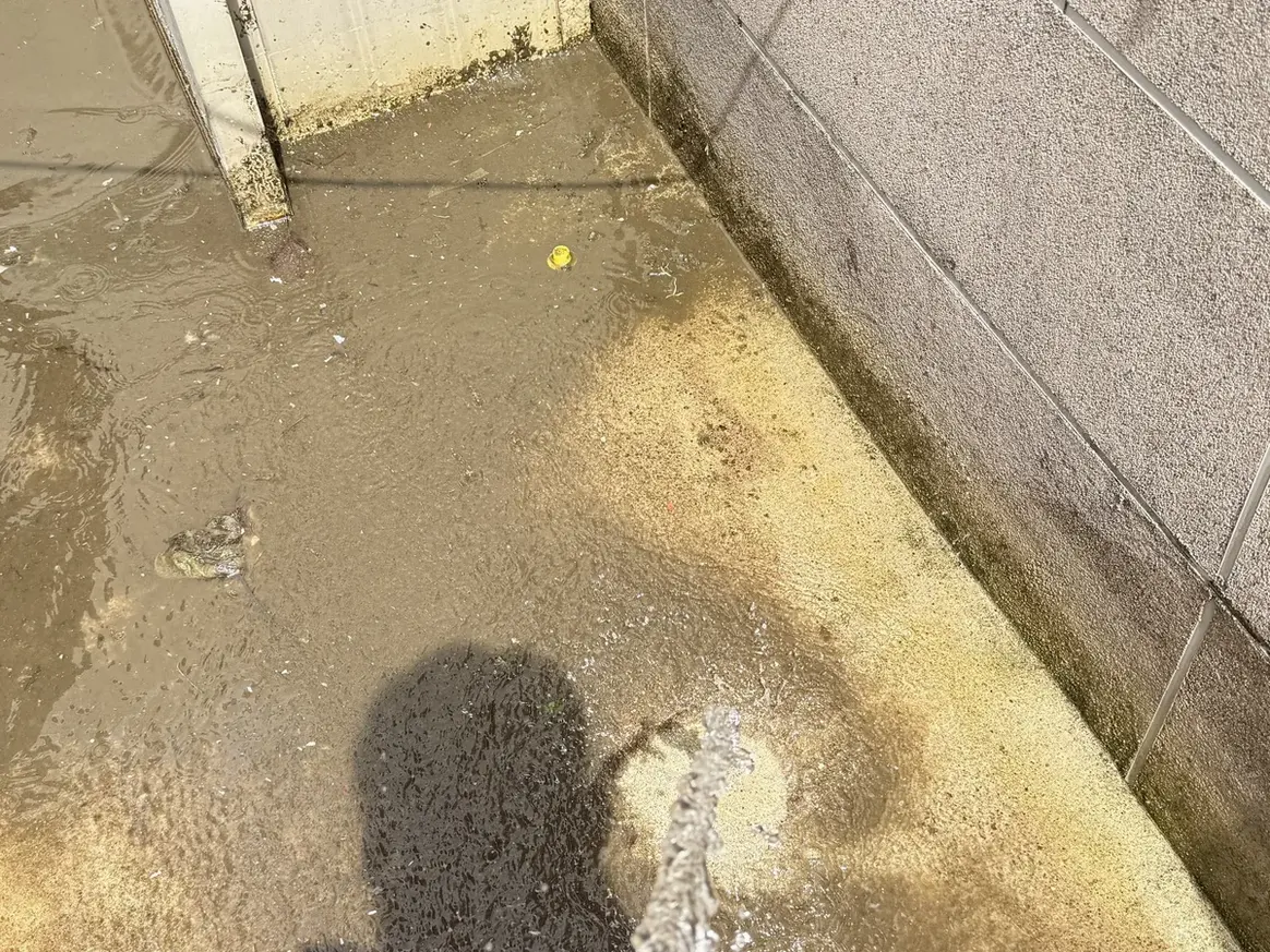북구 어물동 배관 관리실·기계실 위생청소 사례 - 행진크린